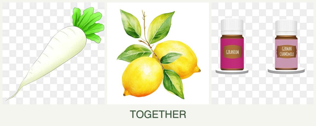 Can you plant radishes, lemons and geraniums together?