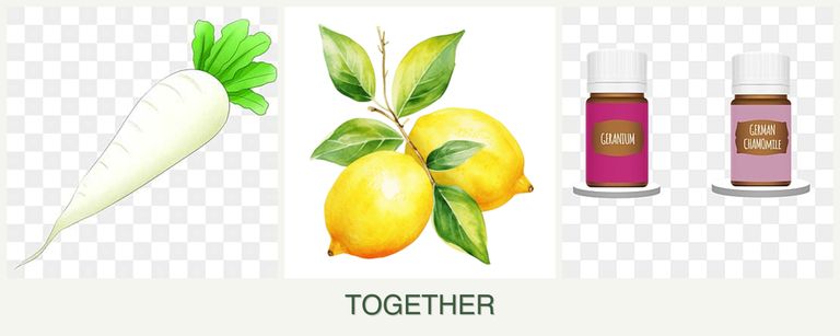 Can you plant radishes, lemons and geraniums together?