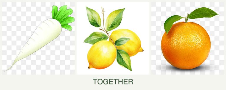 Can you plant radishes, lemons and oranges together?