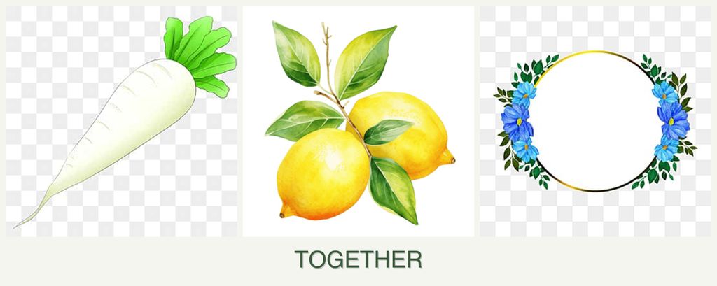 Can you plant radishes, lemons and zinnias together?