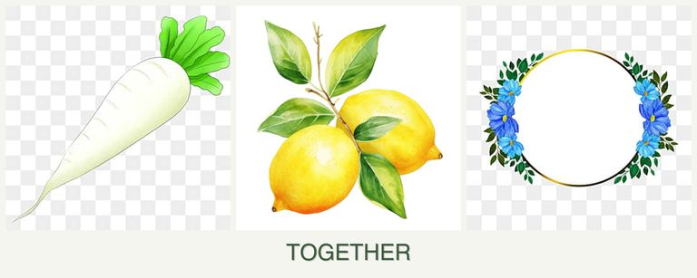 Can you plant radishes, lemons and zinnias together?