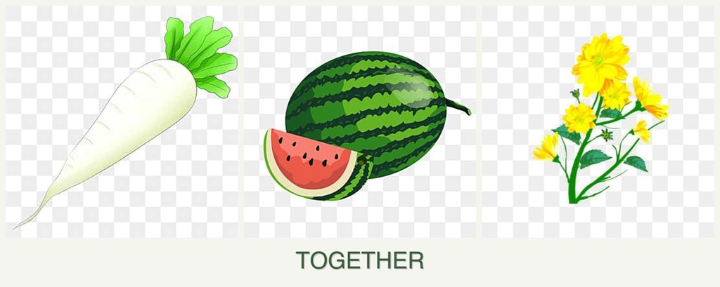 Can you plant radishes, melons and calendula together?