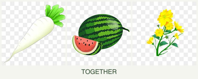 Can you plant radishes, melons and calendula together?