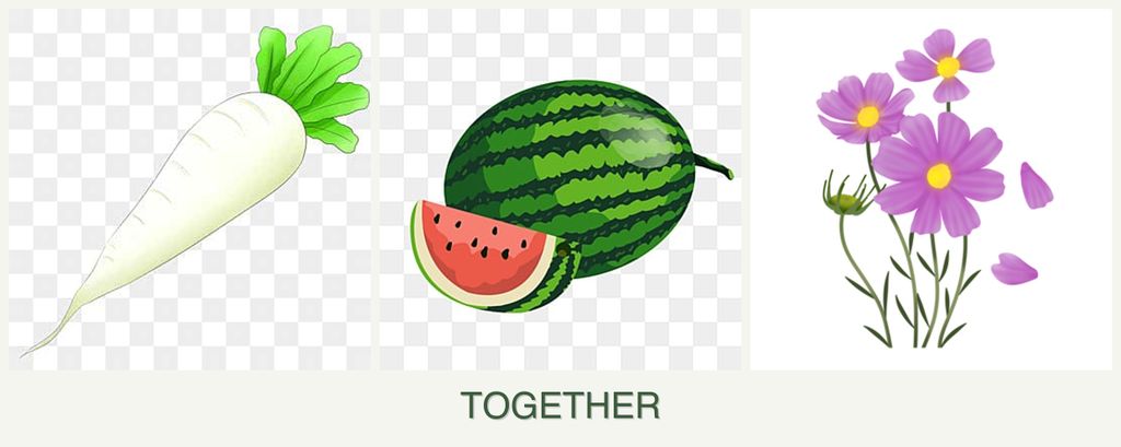 Can you plant radishes, melons and cosmos together?