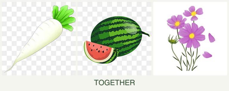 Can you plant radishes, melons and cosmos together?