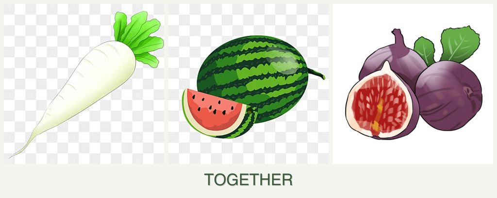 Can you plant radishes, melons and figs together?