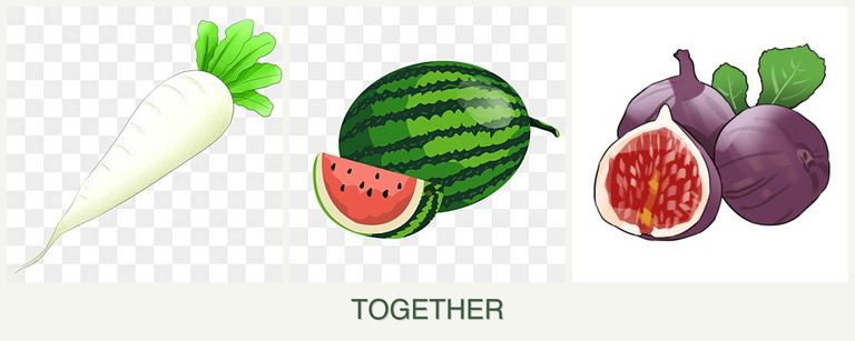 Can you plant radishes, melons and figs together?