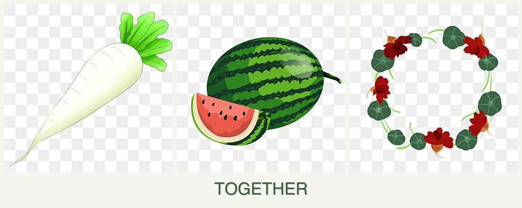 Can you plant radishes, melons and nasturtiums together?