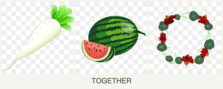 Can you plant radishes, melons and nasturtiums together?