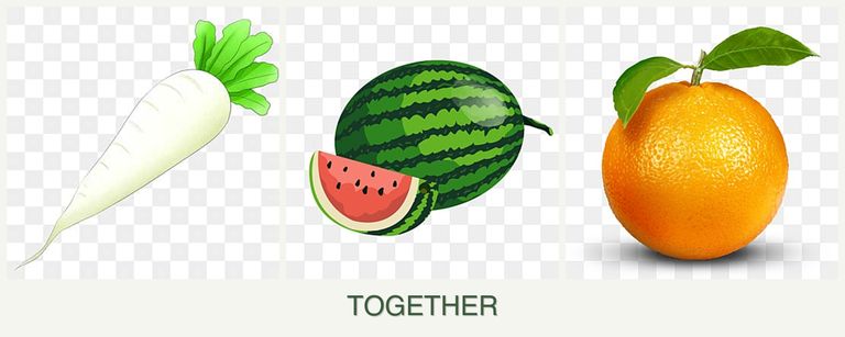 Can you plant radishes, melons and oranges together?