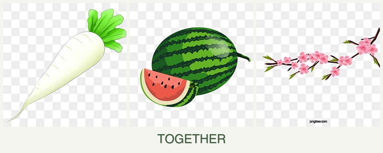 Can you plant radishes, melons and peaches together?