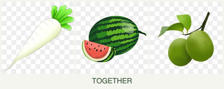 Can you plant radishes, melons and plums together?