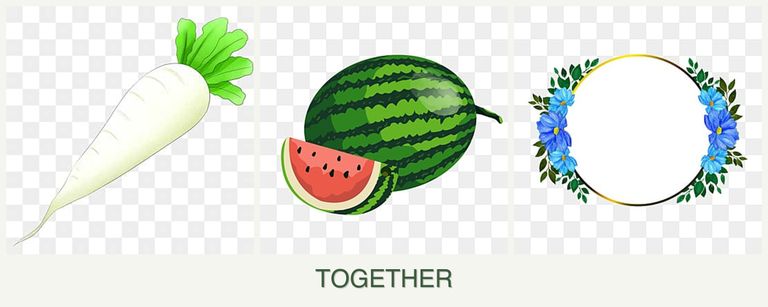 Can you plant radishes, melons and zinnias together?