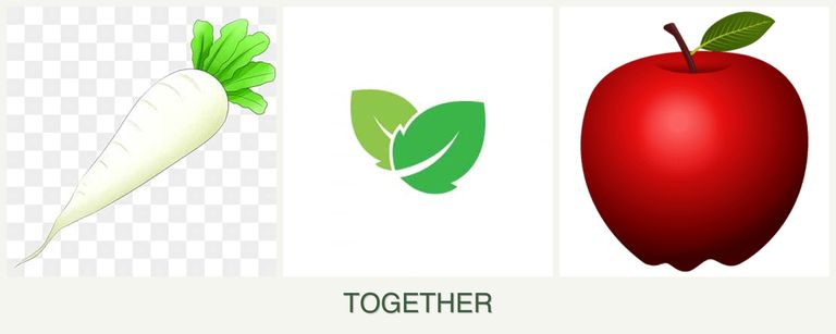 Can you plant radishes, mint and apples together?