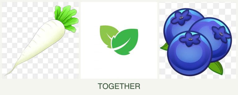 Can you plant radishes, mint and blueberries together?