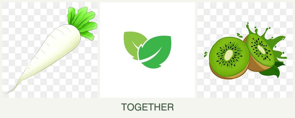 Can you plant radishes, mint and kiwi together?