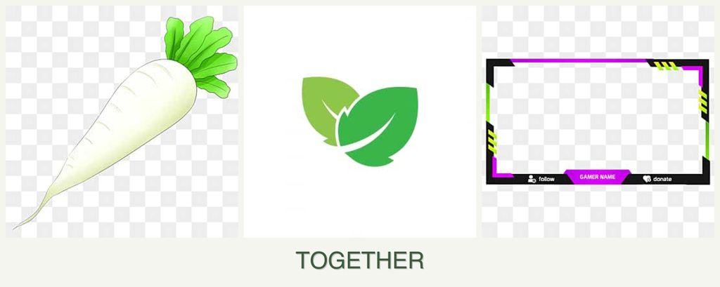 Can you plant radishes, mint and limes together?