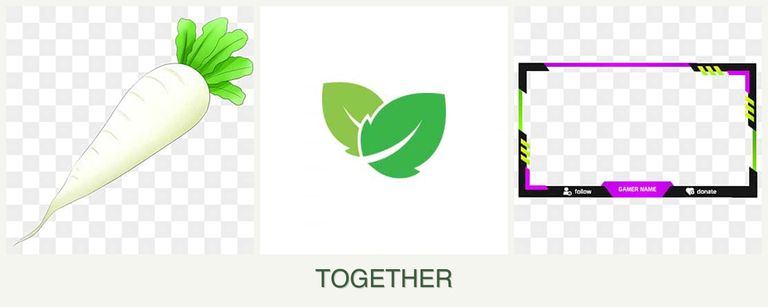 Can you plant radishes, mint and limes together?