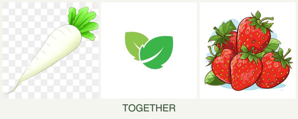 Can you plant radishes, mint and strawberries together?