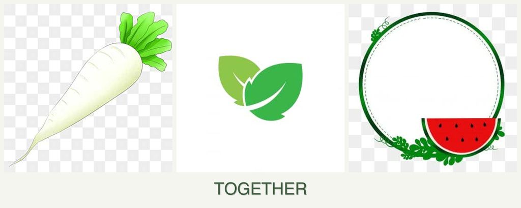 Can you plant radishes, mint and watermelons together?