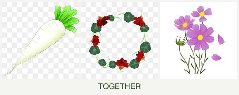 Can you plant radishes, nasturtiums and cosmos together?