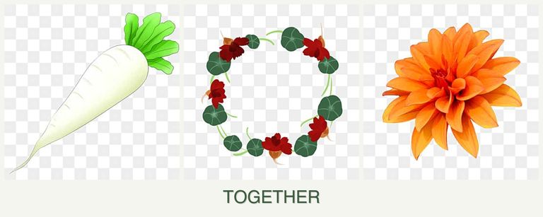 Can you plant radishes, nasturtiums and dahlias together?