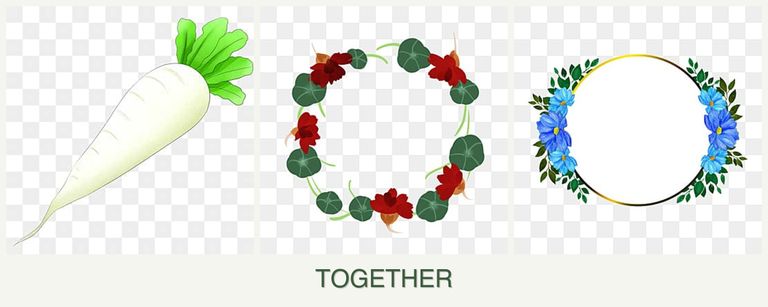 Can you plant radishes, nasturtiums and zinnias together?