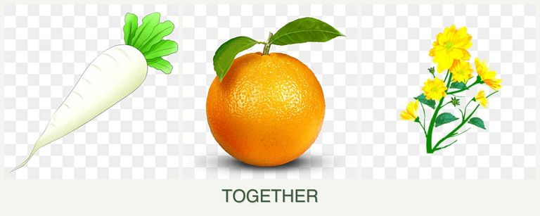 Can you plant radishes, oranges and calendula together?