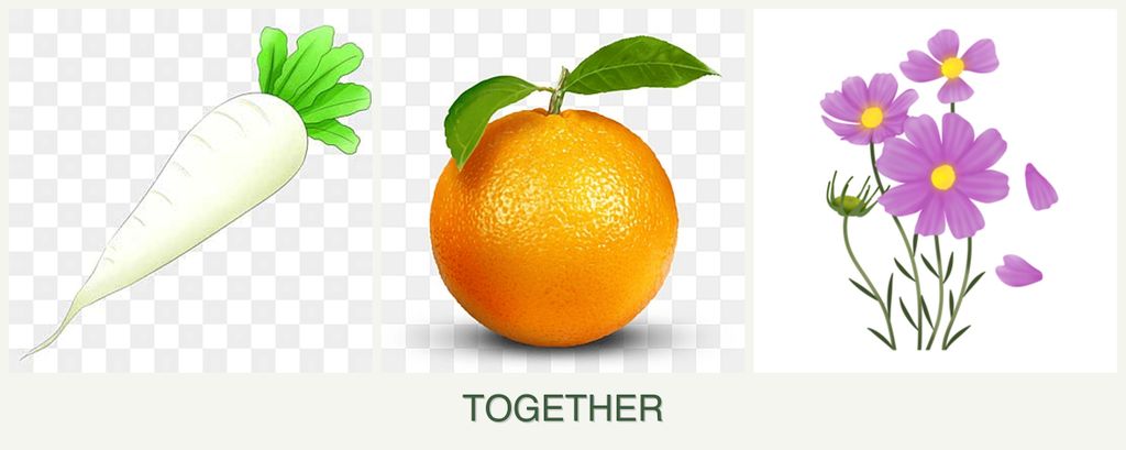 Can you plant radishes, oranges and cosmos together?