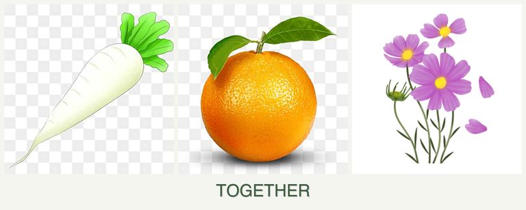 Can you plant radishes, oranges and cosmos together?