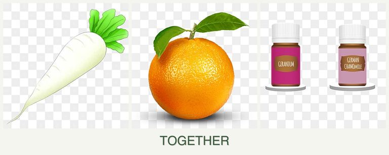 Can you plant radishes, oranges and geraniums together?