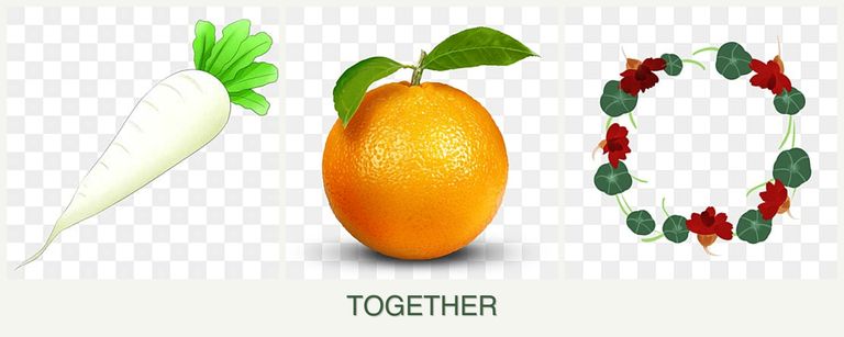 Can you plant radishes, oranges and nasturtiums together?