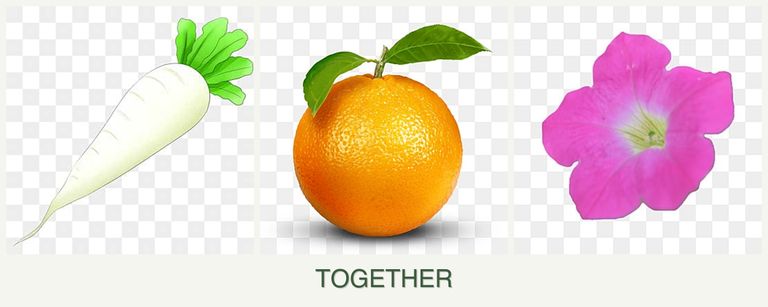 Can you plant radishes, oranges and petunias together?