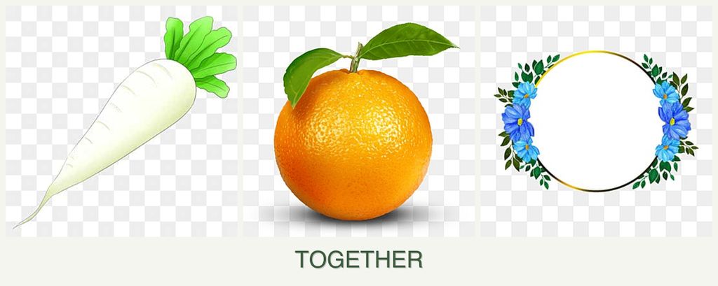 Can you plant radishes, oranges and zinnias together?