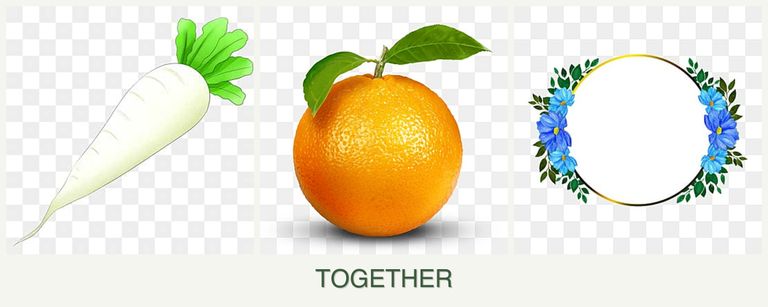 Can you plant radishes, oranges and zinnias together?