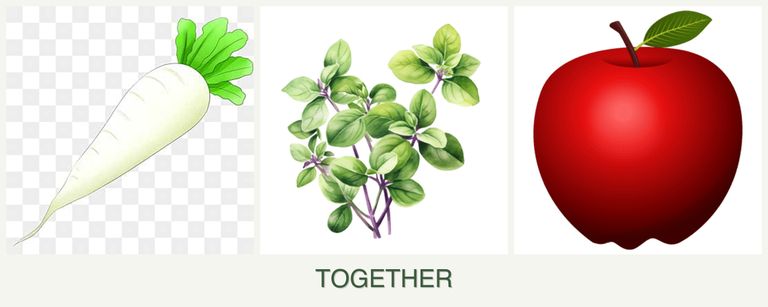 Can you plant radishes, oregano and apples together?