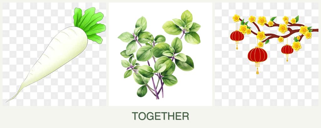 Can you plant radishes, oregano and apricots together?