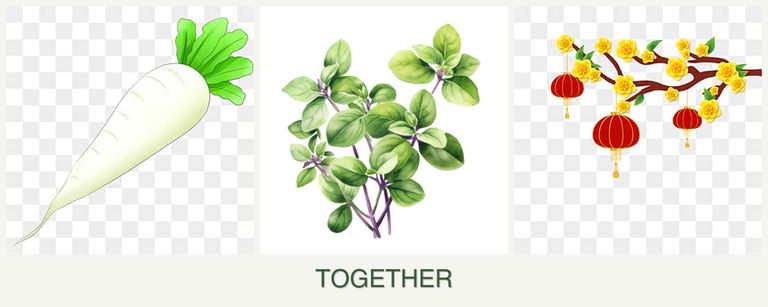 Can you plant radishes, oregano and apricots together?