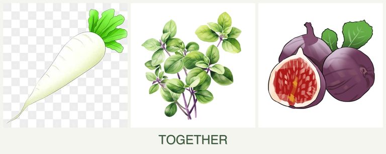 Can you plant radishes, oregano and figs together?