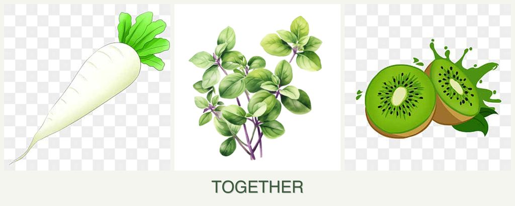 Can you plant radishes, oregano and kiwi together?