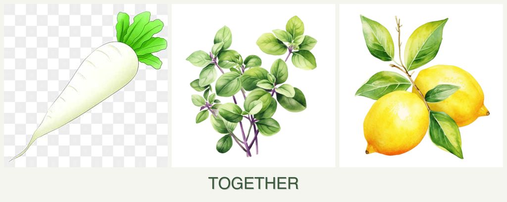 Can you plant radishes, oregano and lemons together?