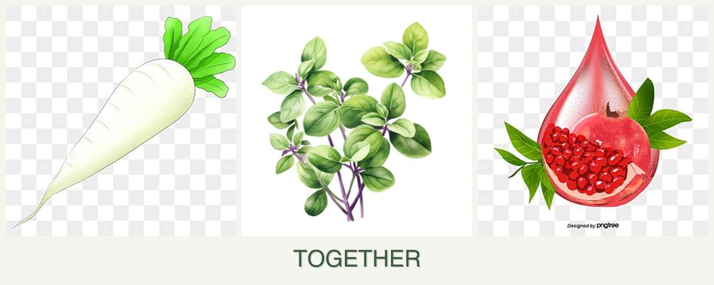 Can you plant radishes, oregano and pomegranates together?