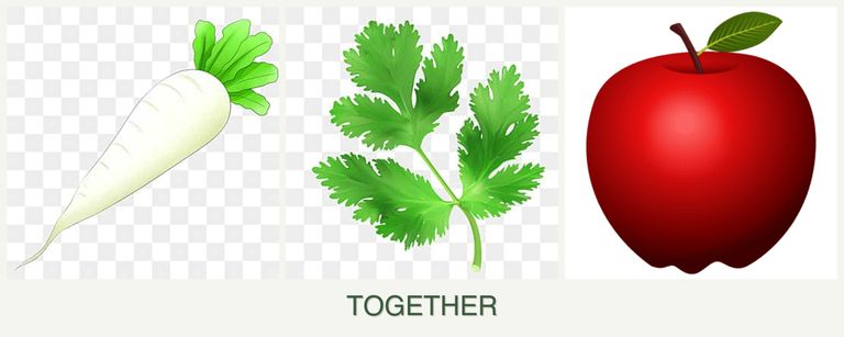 Can you plant radishes, parsley and apples together?