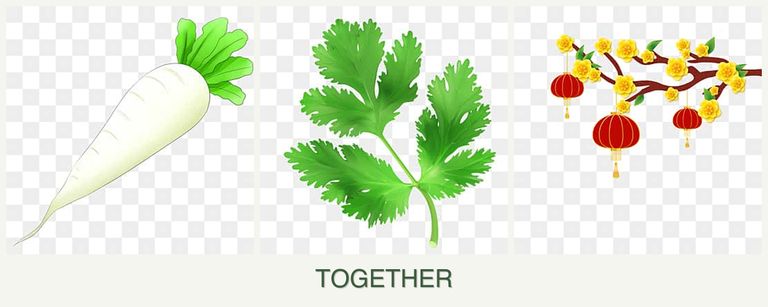Can you plant radishes, parsley and apricots together?