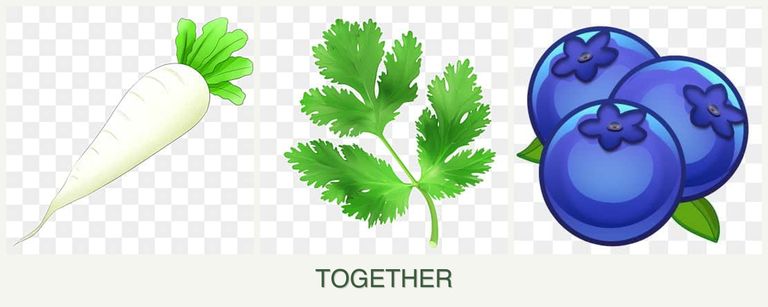 Can you plant radishes, parsley and blueberries together?