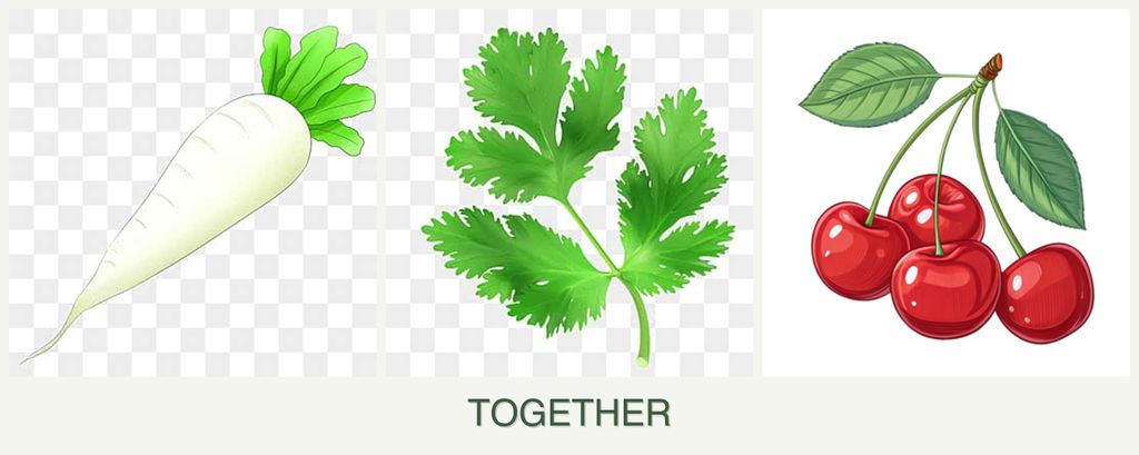 Can you plant radishes, parsley and cherries together?