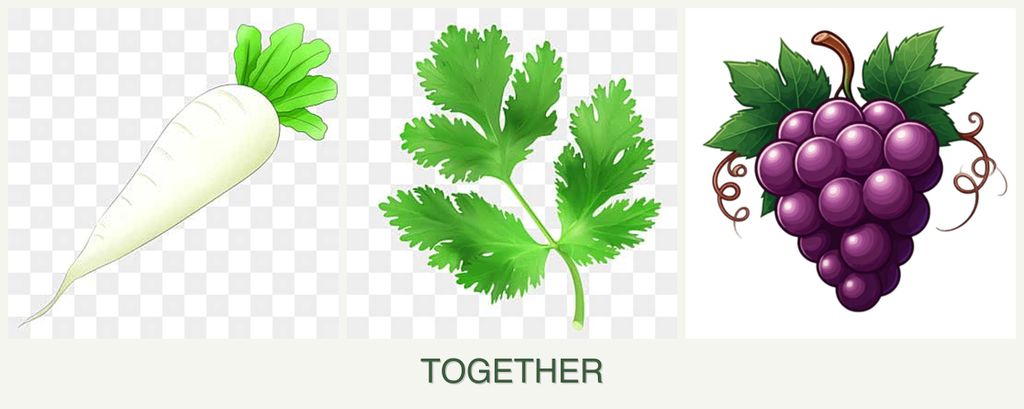 Can you plant radishes, parsley and grapes together?