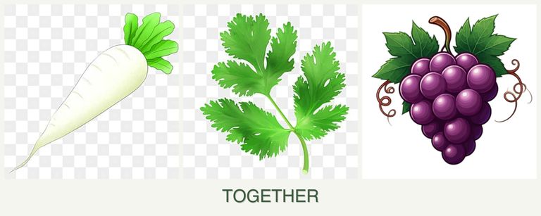 Can you plant radishes, parsley and grapes together?