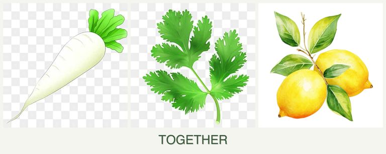 Can you plant radishes, parsley and lemons together?