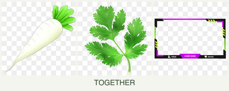 Can you plant radishes, parsley and limes together?